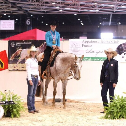Internationel Top Platzierungen 2013
