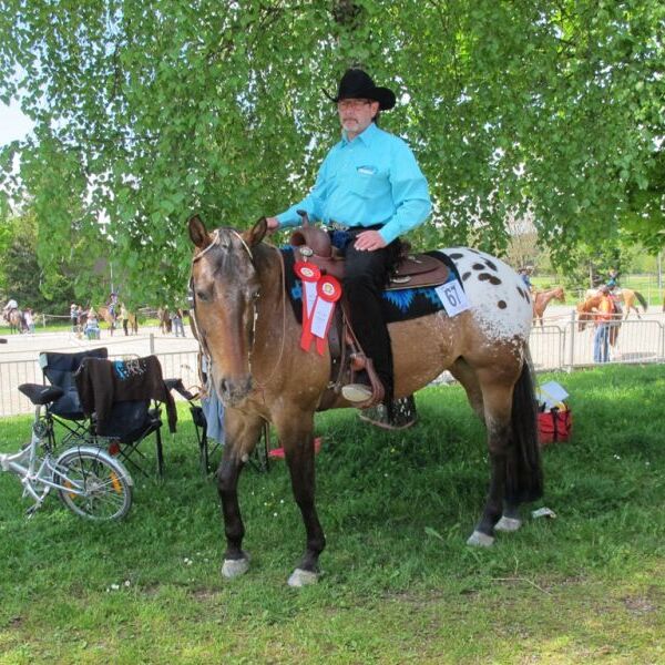 Big Three Show Fehraltdorf