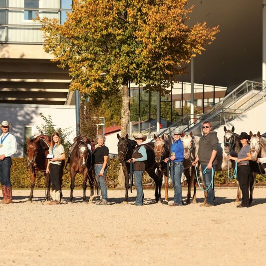Europameisterschaft 2016
