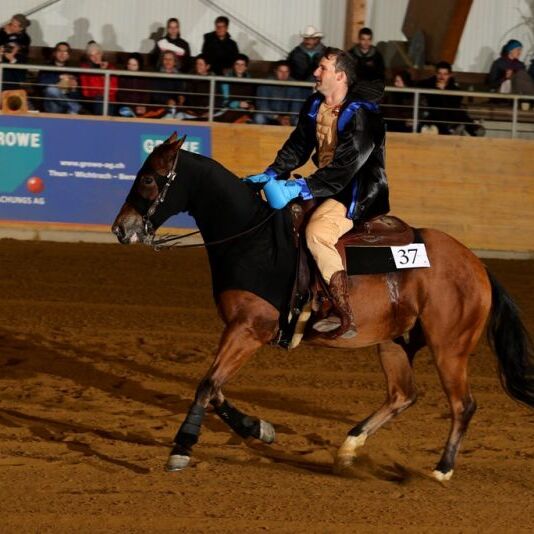 Appaloosa European Championship 2015