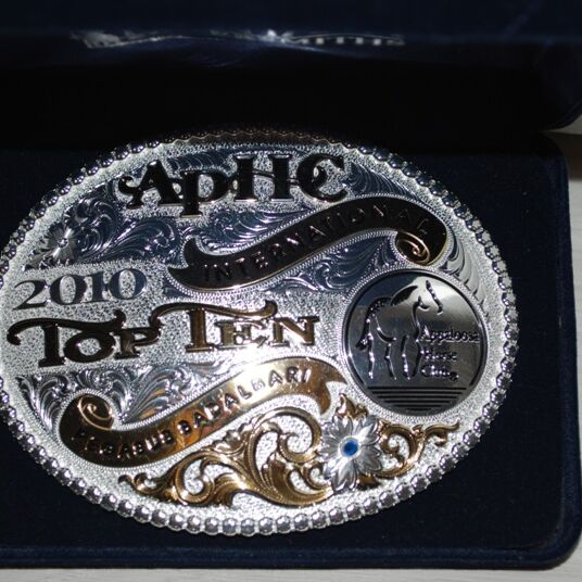 ApHC Top Ten Erfolge 2011