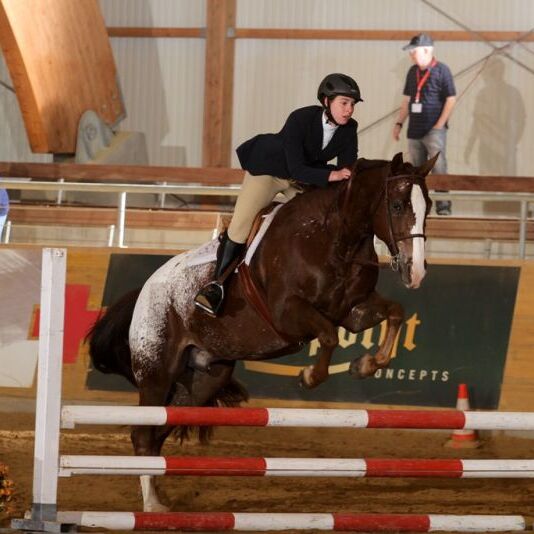 APHC EM 2014 in Mooslargue