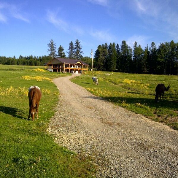 Standort Canada