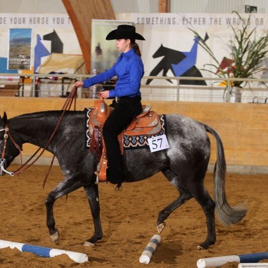 Erfolgreich bei SWRA und Big Three Shows