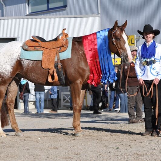 Appaloosa EM 2011 in Aachen