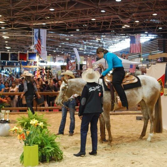 MVA Paradise Vision Youth an Equita Lyon