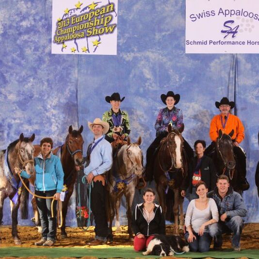 APHC EM 2013 in Mooslargue