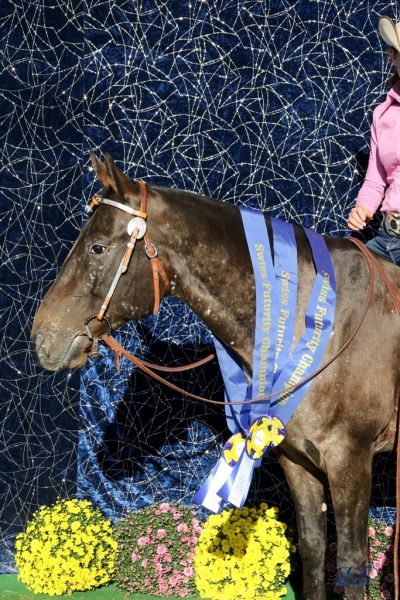 High Deal Olena (genannt Sueno)